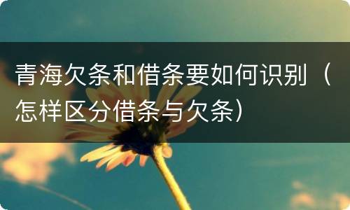 青海欠条和借条要如何识别（怎样区分借条与欠条）