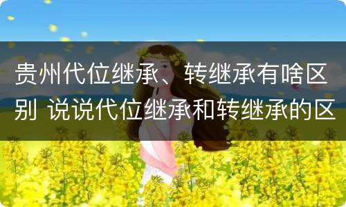 贵州代位继承、转继承有啥区别 说说代位继承和转继承的区别