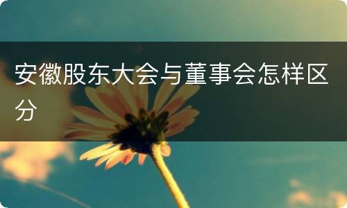 安徽股东大会与董事会怎样区分