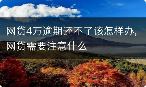网贷4万逾期还不了该怎样办,网贷需要注意什么
