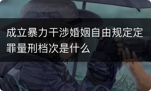 成立暴力干涉婚姻自由规定定罪量刑档次是什么