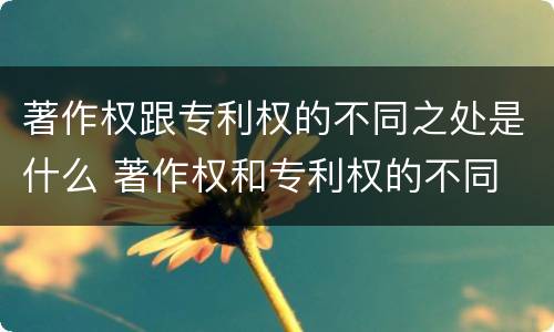 著作权跟专利权的不同之处是什么 著作权和专利权的不同