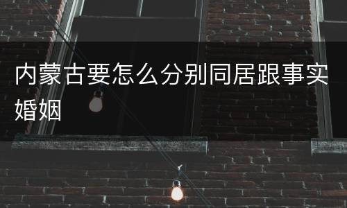 内蒙古要怎么分别同居跟事实婚姻