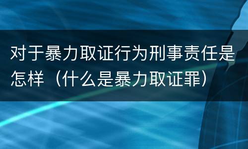 对于暴力取证行为刑事责任是怎样（什么是暴力取证罪）