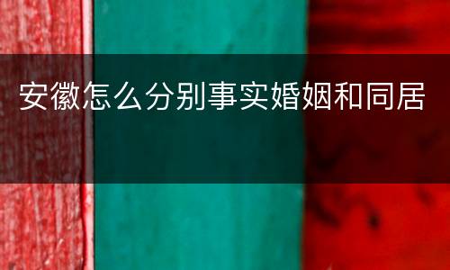 安徽怎么分别事实婚姻和同居