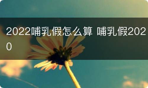 2022哺乳假怎么算 哺乳假2020