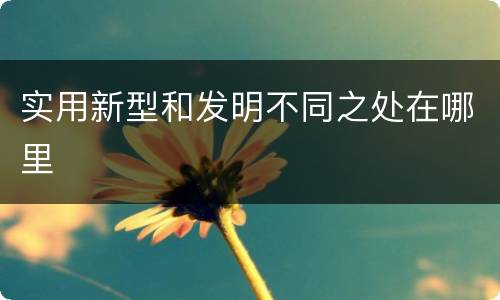 实用新型和发明不同之处在哪里