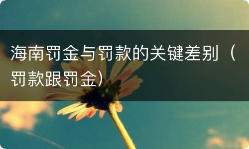 海南罚金与罚款的关键差别（罚款跟罚金）