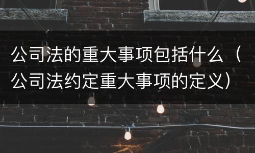 公司法的重大事项包括什么（公司法约定重大事项的定义）