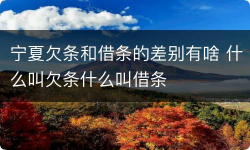 宁夏欠条和借条的差别有啥 什么叫欠条什么叫借条