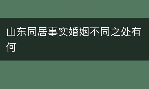 山东同居事实婚姻不同之处有何