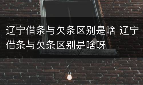 辽宁借条与欠条区别是啥 辽宁借条与欠条区别是啥呀