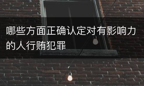 哪些方面正确认定对有影响力的人行贿犯罪