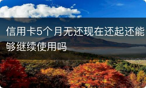 信用卡5个月无还现在还起还能够继续使用吗