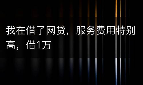 我在借了网贷，服务费用特别高，借1万