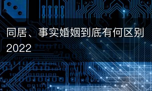 同居、事实婚姻到底有何区别2022