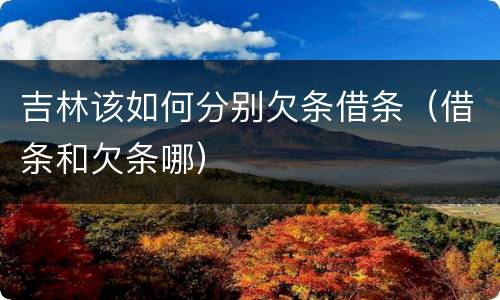 吉林该如何分别欠条借条（借条和欠条哪）