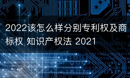 2022该怎么样分别专利权及商标权 知识产权法 2021