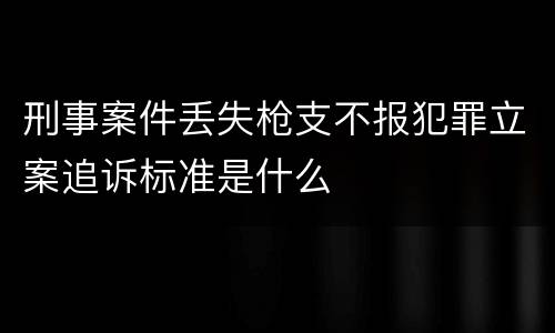 刑事案件丢失枪支不报犯罪立案追诉标准是什么