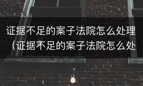 证据不足的案子法院怎么处理（证据不足的案子法院怎么处理呢）