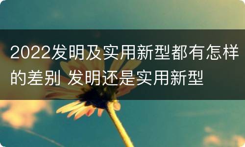 2022发明及实用新型都有怎样的差别 发明还是实用新型