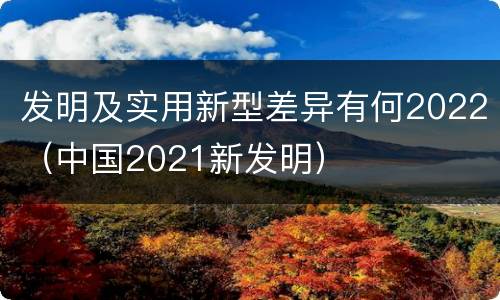 发明及实用新型差异有何2022（中国2021新发明）
