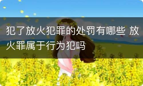 犯了放火犯罪的处罚有哪些 放火罪属于行为犯吗