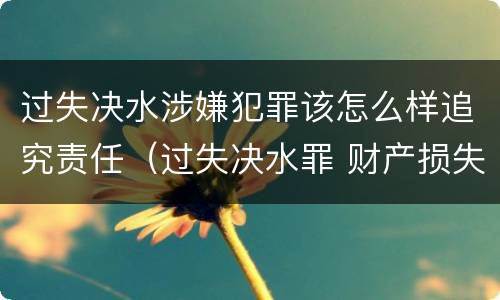 过失决水涉嫌犯罪该怎么样追究责任（过失决水罪 财产损失标准）