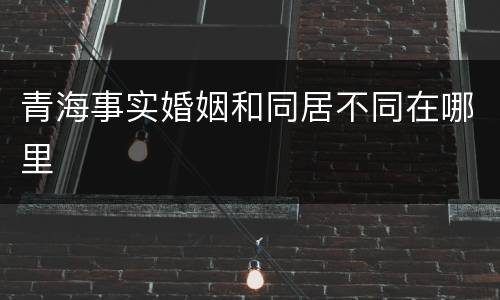 青海事实婚姻和同居不同在哪里