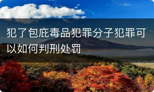 犯了包庇毒品犯罪分子犯罪可以如何判刑处罚