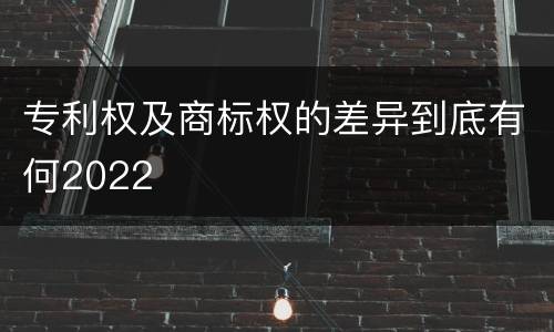 专利权及商标权的差异到底有何2022