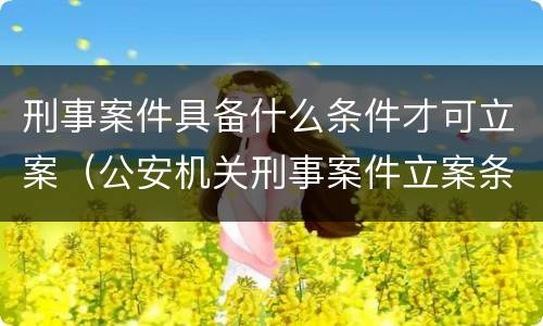 刑事案件具备什么条件才可立案（公安机关刑事案件立案条件）