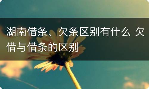 湖南借条、欠条区别有什么 欠借与借条的区别