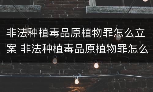 非法种植毒品原植物罪怎么立案 非法种植毒品原植物罪怎么立案起诉