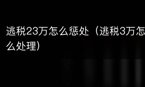 逃税23万怎么惩处（逃税3万怎么处理）