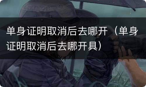 单身证明取消后去哪开（单身证明取消后去哪开具）