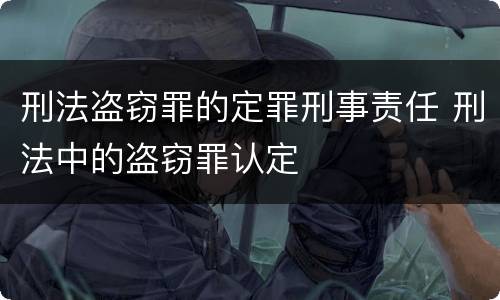 刑法盗窃罪的定罪刑事责任 刑法中的盗窃罪认定
