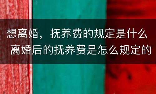 想离婚，抚养费的规定是什么 离婚后的抚养费是怎么规定的