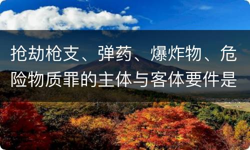 抢劫枪支、弹药、爆炸物、危险物质罪的主体与客体要件是什么