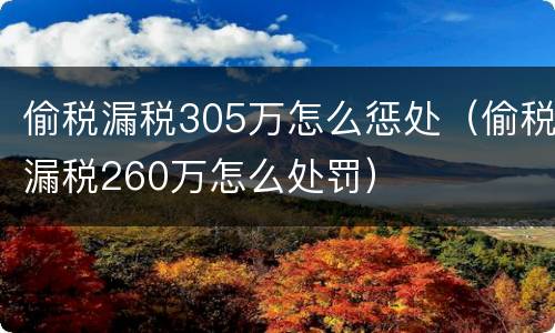 偷税漏税305万怎么惩处（偷税漏税260万怎么处罚）