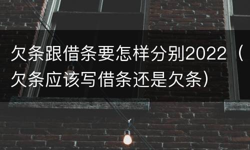 欠条跟借条要怎样分别2022（欠条应该写借条还是欠条）