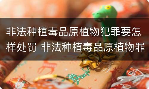 非法种植毒品原植物犯罪要怎样处罚 非法种植毒品原植物罪情节严重