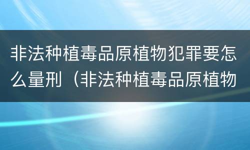 非法种植毒品原植物犯罪要怎么量刑（非法种植毒品原植物罪中的种植行为）