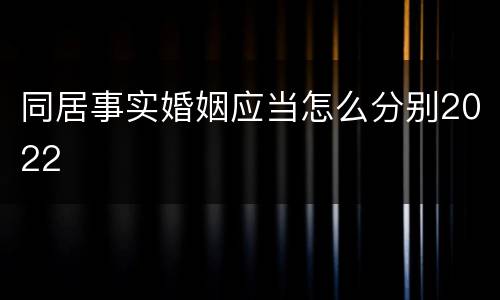 同居事实婚姻应当怎么分别2022