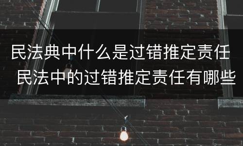 民法典中什么是过错推定责任 民法中的过错推定责任有哪些