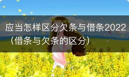 应当怎样区分欠条与借条2022（借条与欠条的区分）