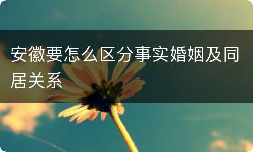 安徽要怎么区分事实婚姻及同居关系