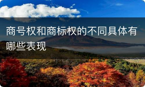 商号权和商标权的不同具体有哪些表现
