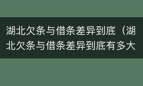 湖北欠条与借条差异到底（湖北欠条与借条差异到底有多大）