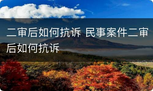 二审后如何抗诉 民事案件二审后如何抗诉